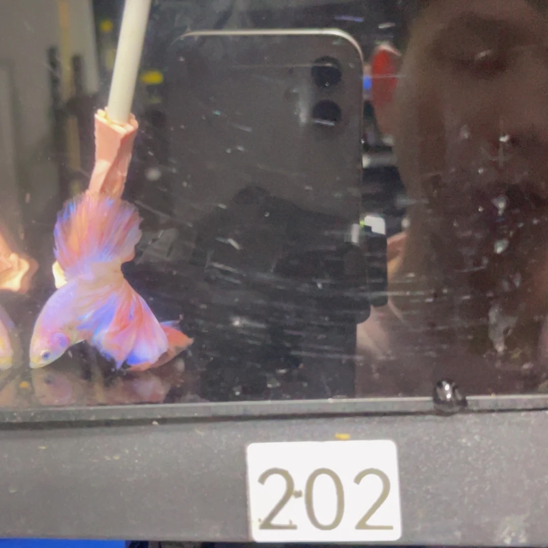 海水鱼吧哈哈哈哈哈哈试试试试