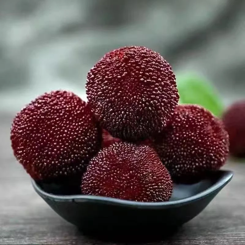 【仙居东魁杨梅】新鲜现摘应季水果浙江仙居顺丰冷链大果颗粒饱满礼