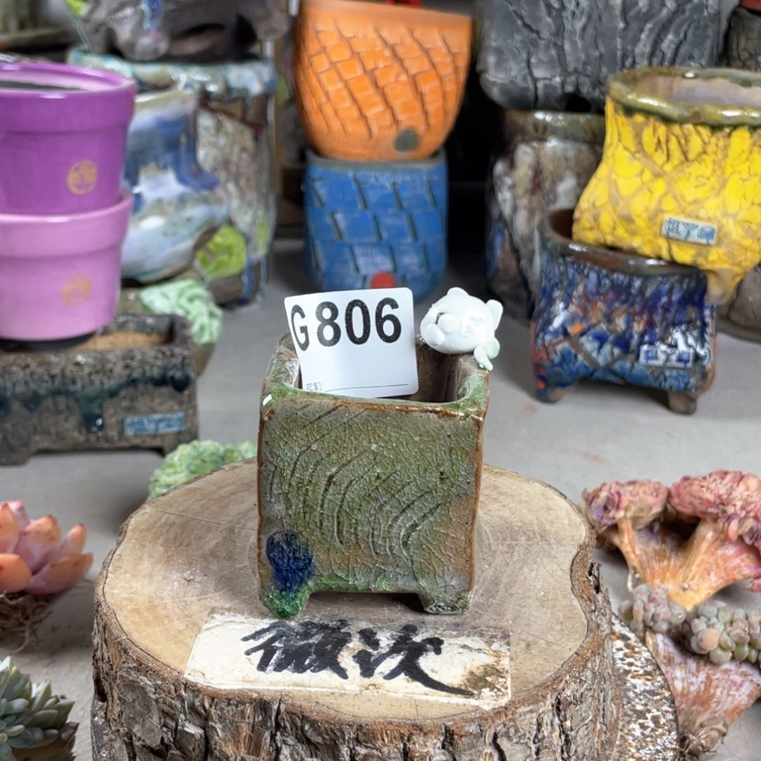 紫砂花盆开播福利 陶瓷花盆