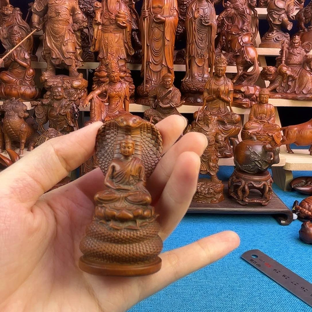 黄杨木小叶黄杨木