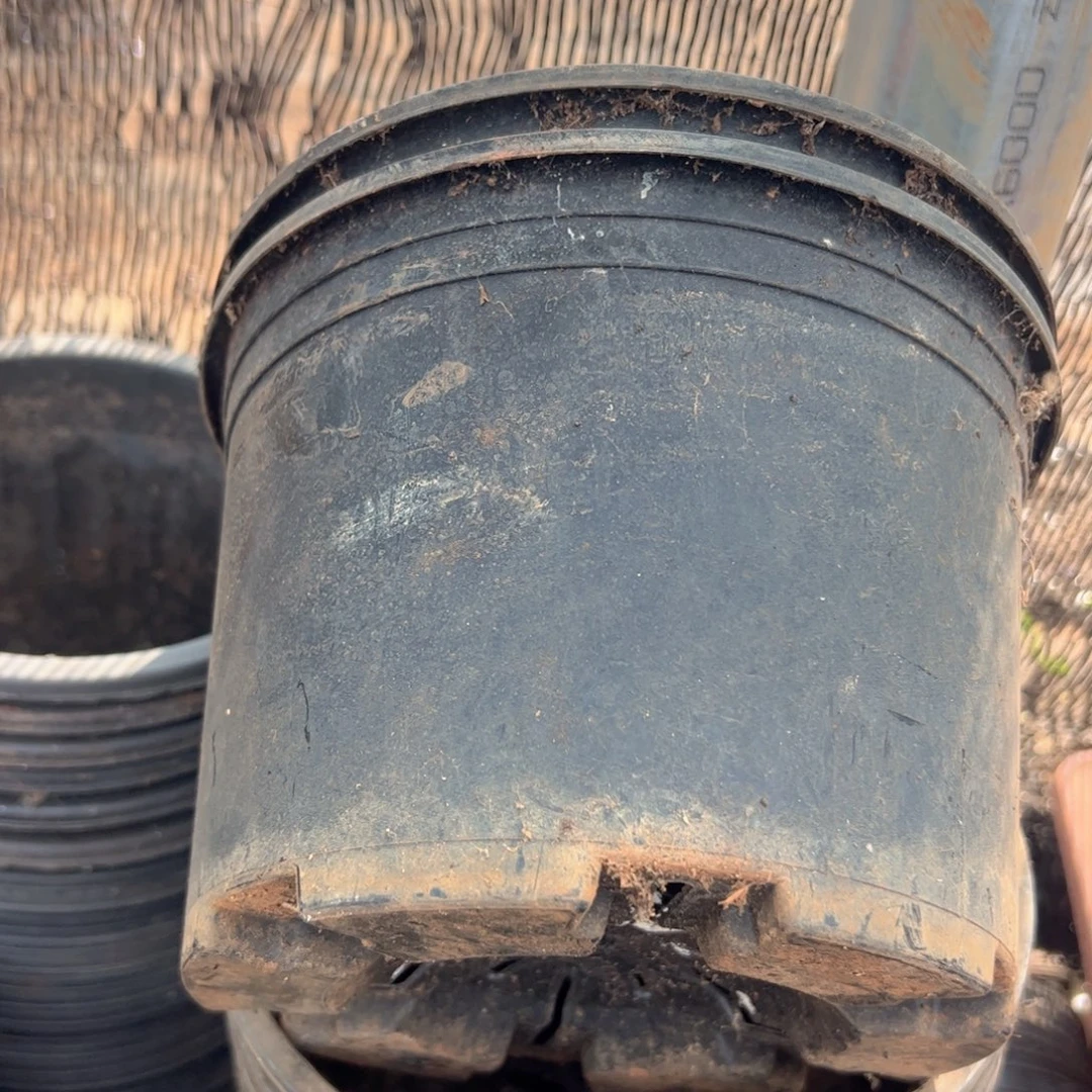 矮胖加仑盆20口径14高 10个