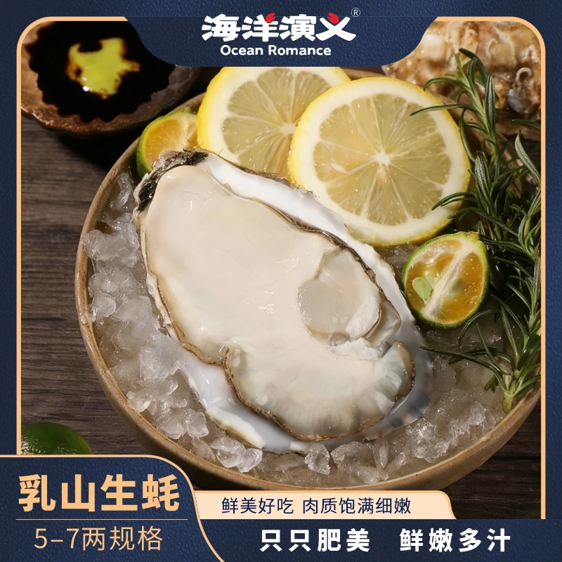 海洋演义 乳山生蚝（5-7两/个）【5/9斤】