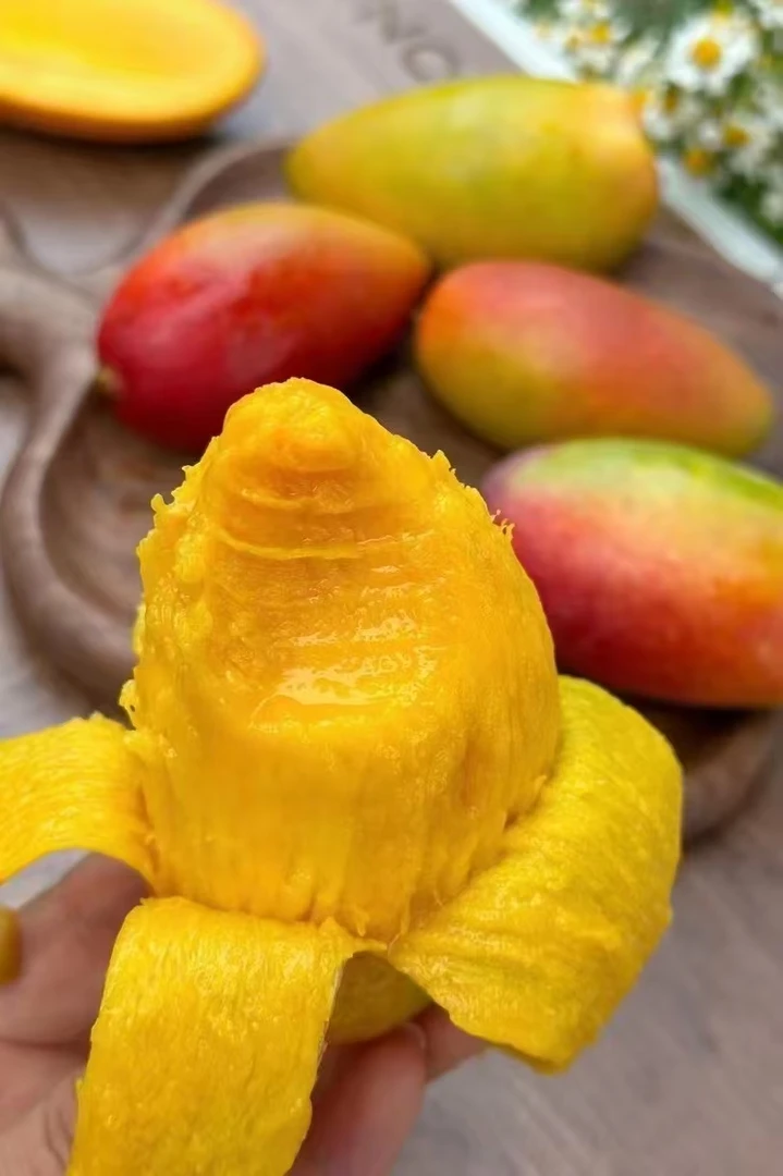 海南贵妃芒果新鲜现摘树上熟香甜多汁