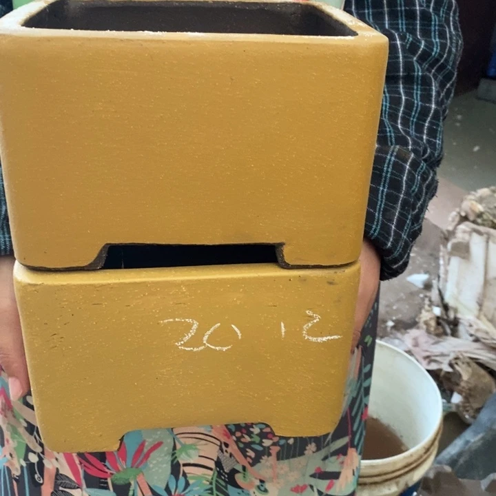 花盆紫砂只顾看手机和