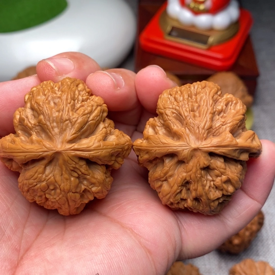 把件文玩核桃44精品毕业粗筋