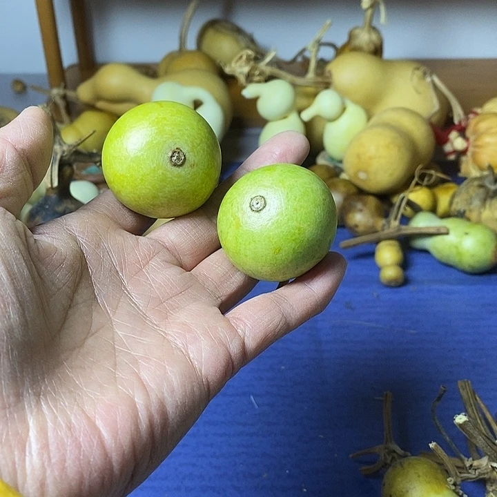 荣***哥葫芦面包葫芦手把件葫芦