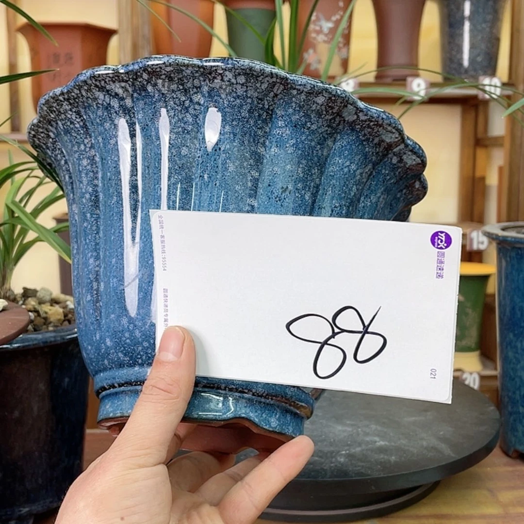 【闪购商品】紫砂花盆兰花55585886685555558