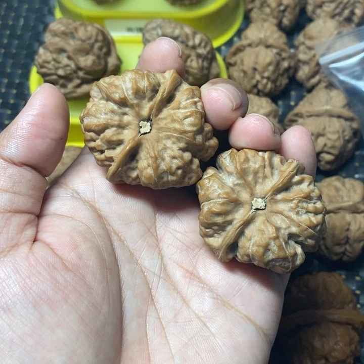 一***顺文玩核桃把件蛤蟆头39