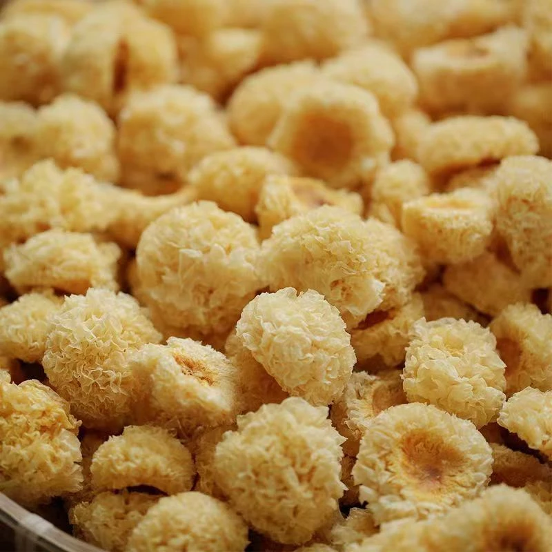 2025新货100g椴木小银耳古田新无熏硫白木耳椴木银耳羹拉丝