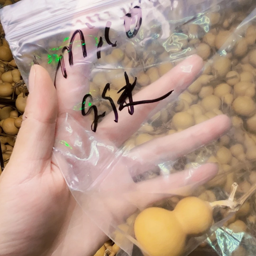 u***o小美葫芦一个小葫芦
