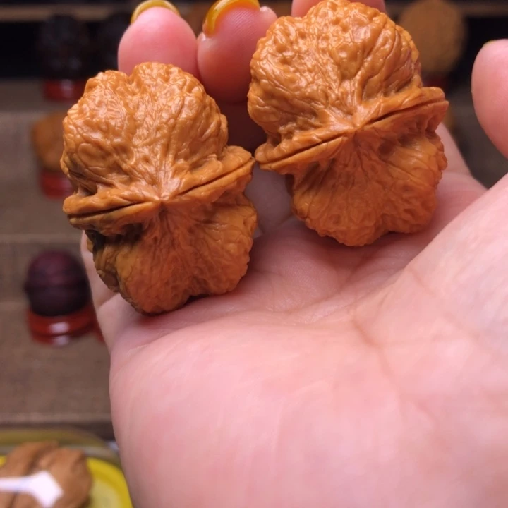 把件橄榄核71霸王龙脊37尺