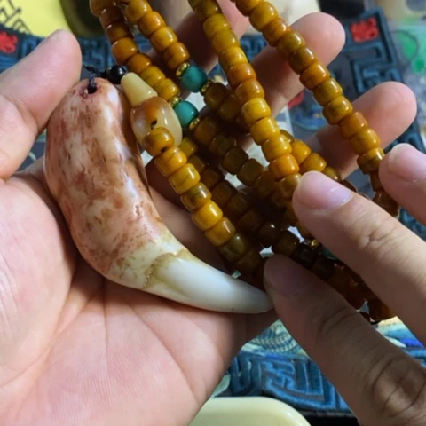 大哥专拍链接一号