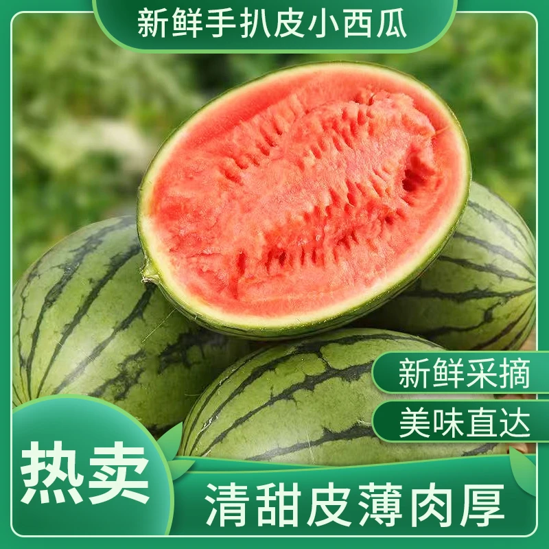 山东富硒小吊瓜新鲜采摘脆甜多汁采摘薄皮脆甜红瓤小糖丸西瓜多汁