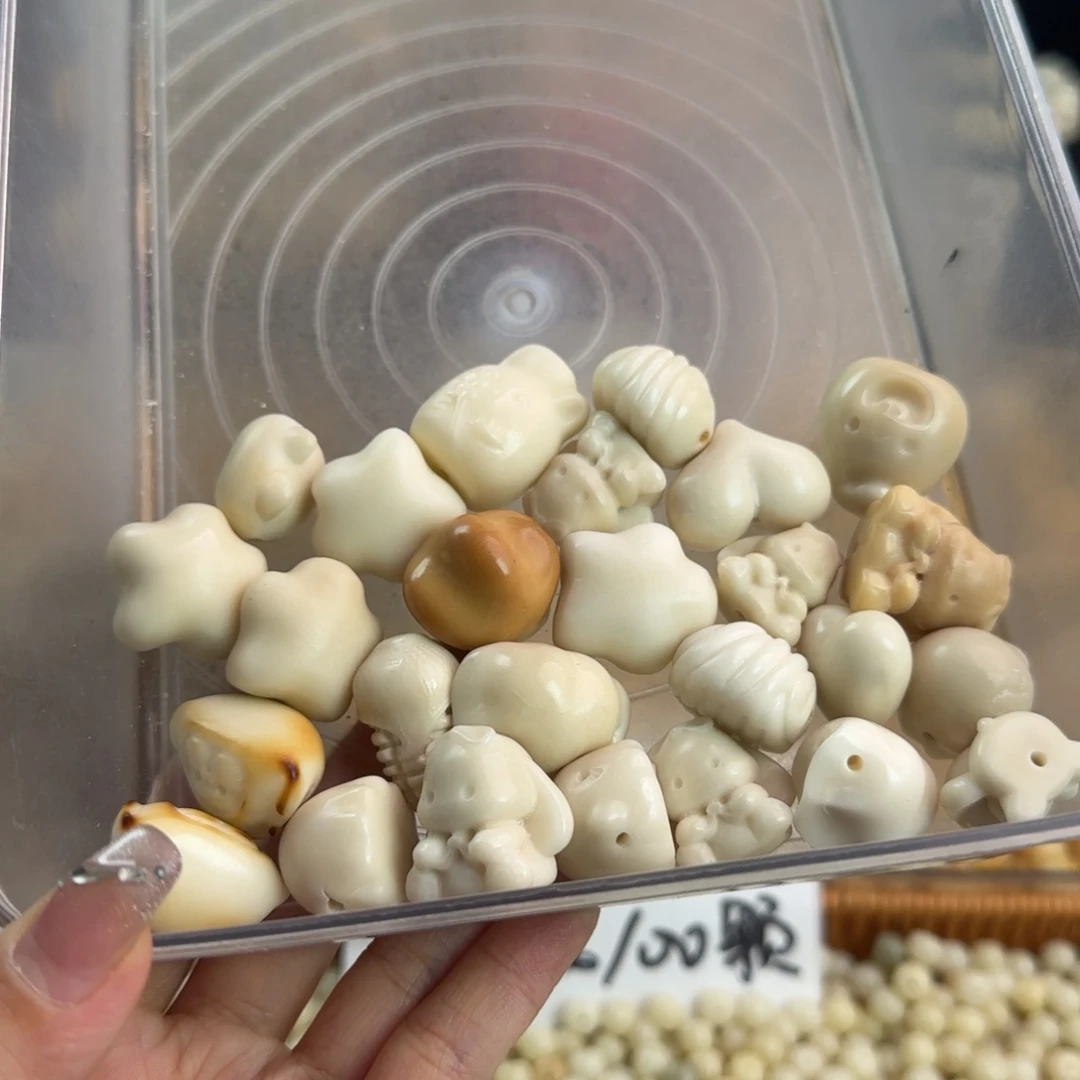 吊坠菩提根/象牙果微瑕疵牙果26颗不售后