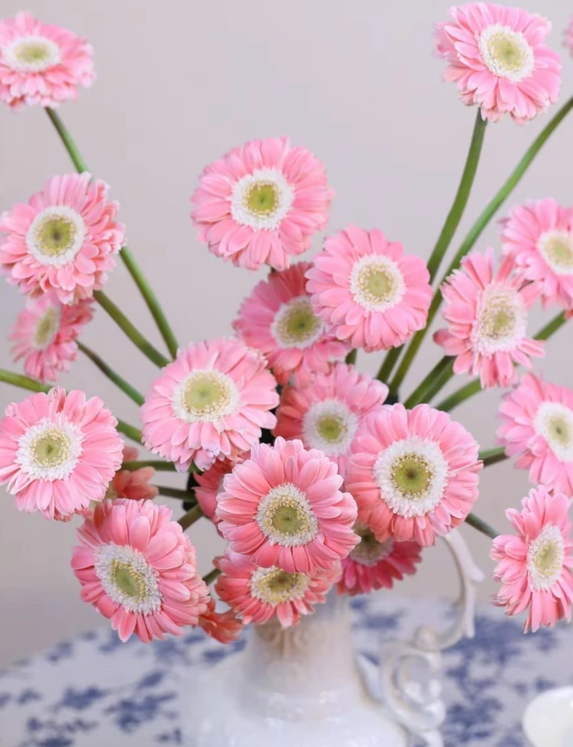 高杆盲盒不包花1