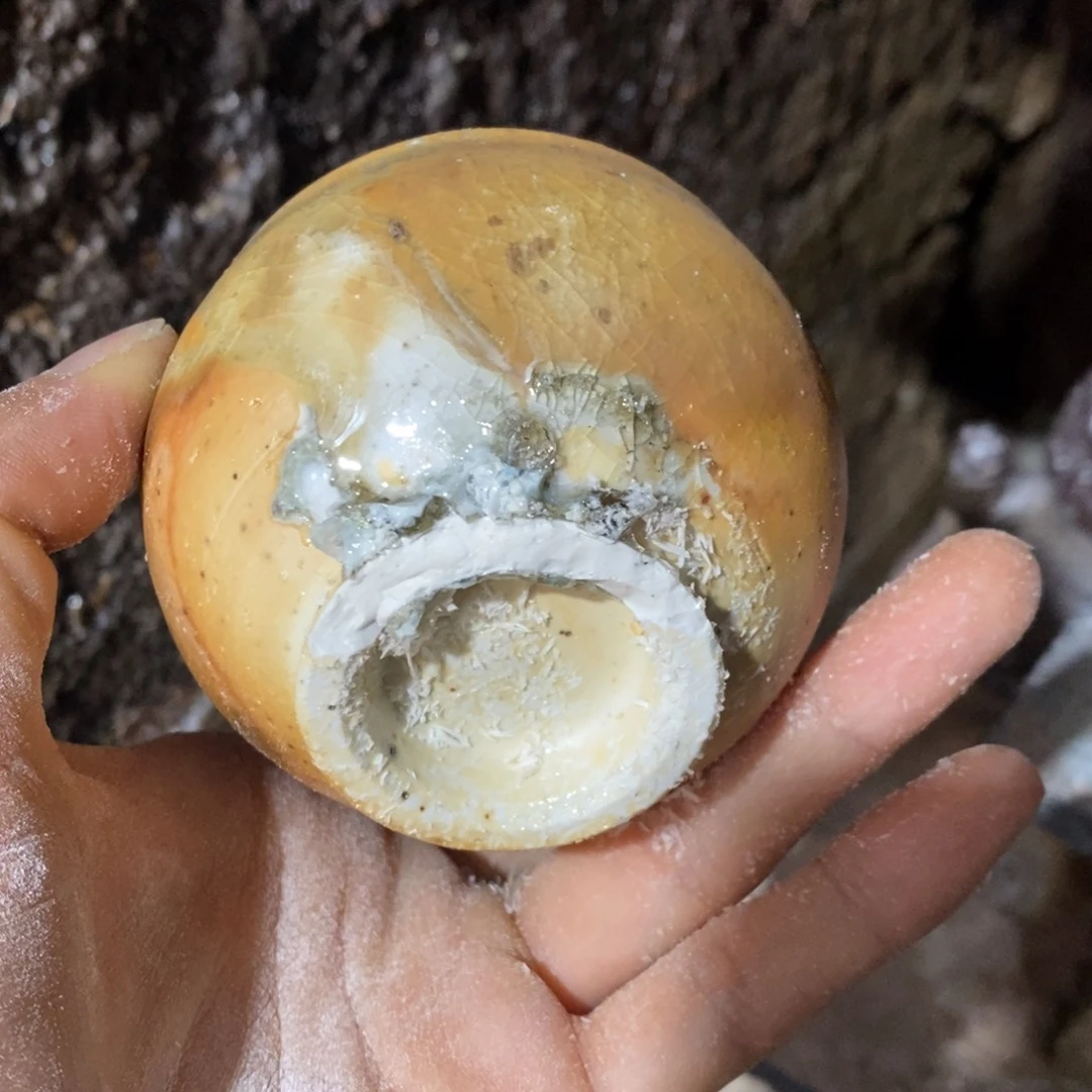 开窑大吉 高货多多506瑕疵