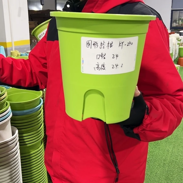 正品圆控口24高24果绿色8只带托