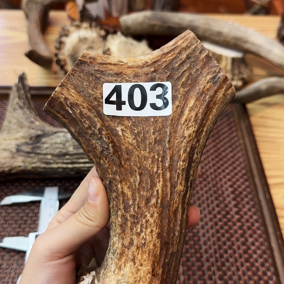 手串/手链鹿骨403弹弓19*11.4*4.3cm