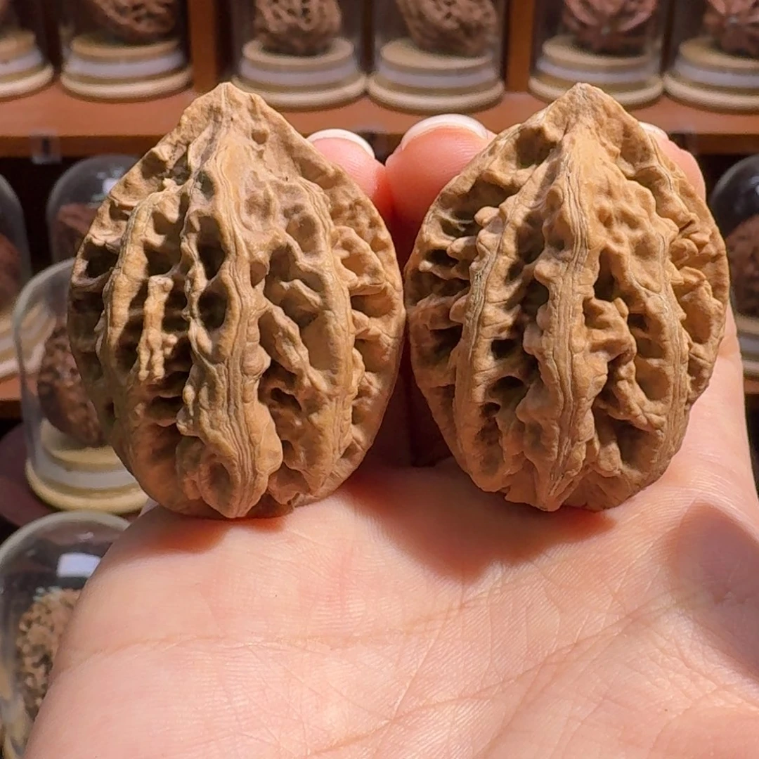 文玩核桃把件红珊瑚