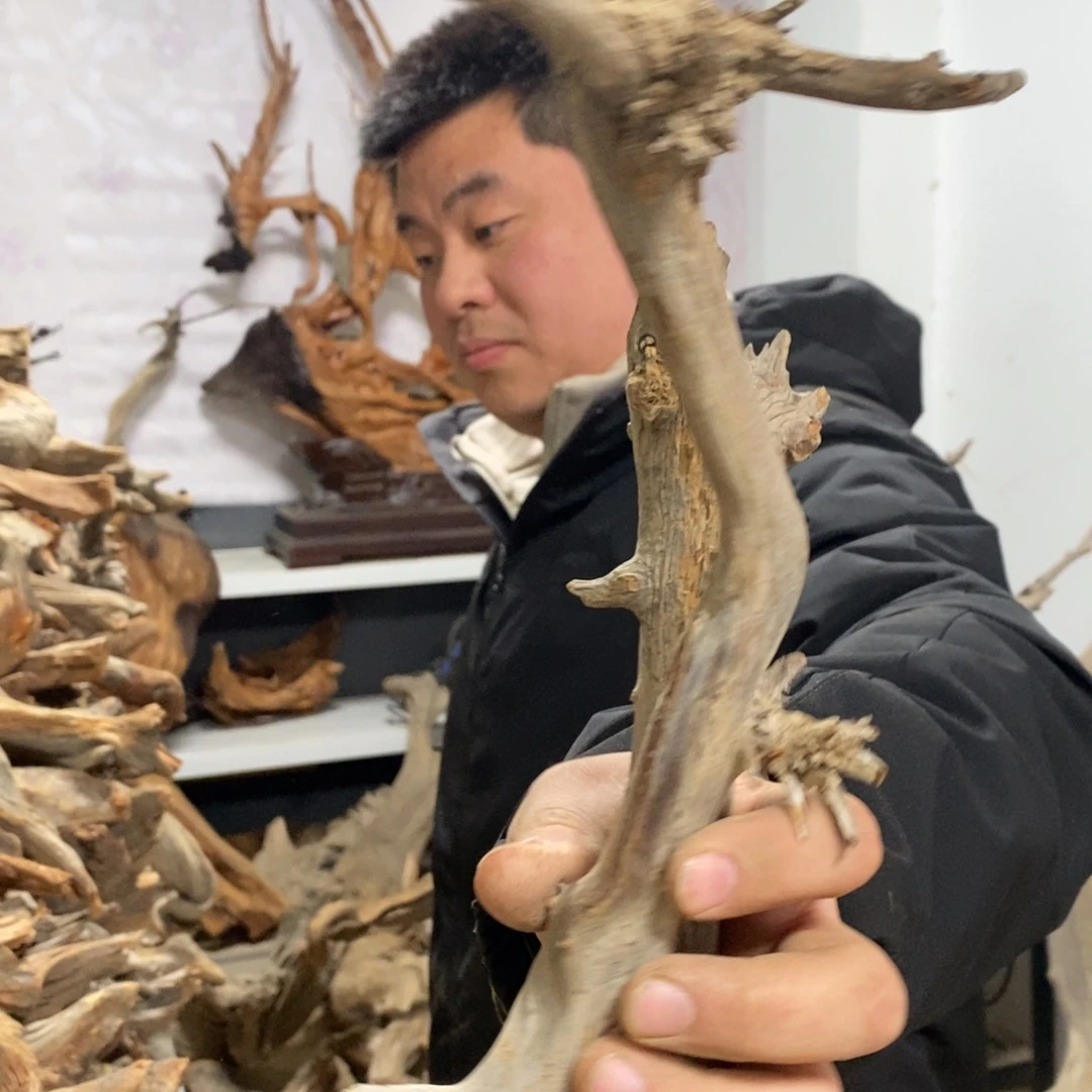 柏木（崖柏）真*闲我们都是好孩子