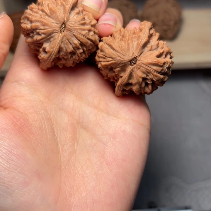 半***夏核桃小众小众小众