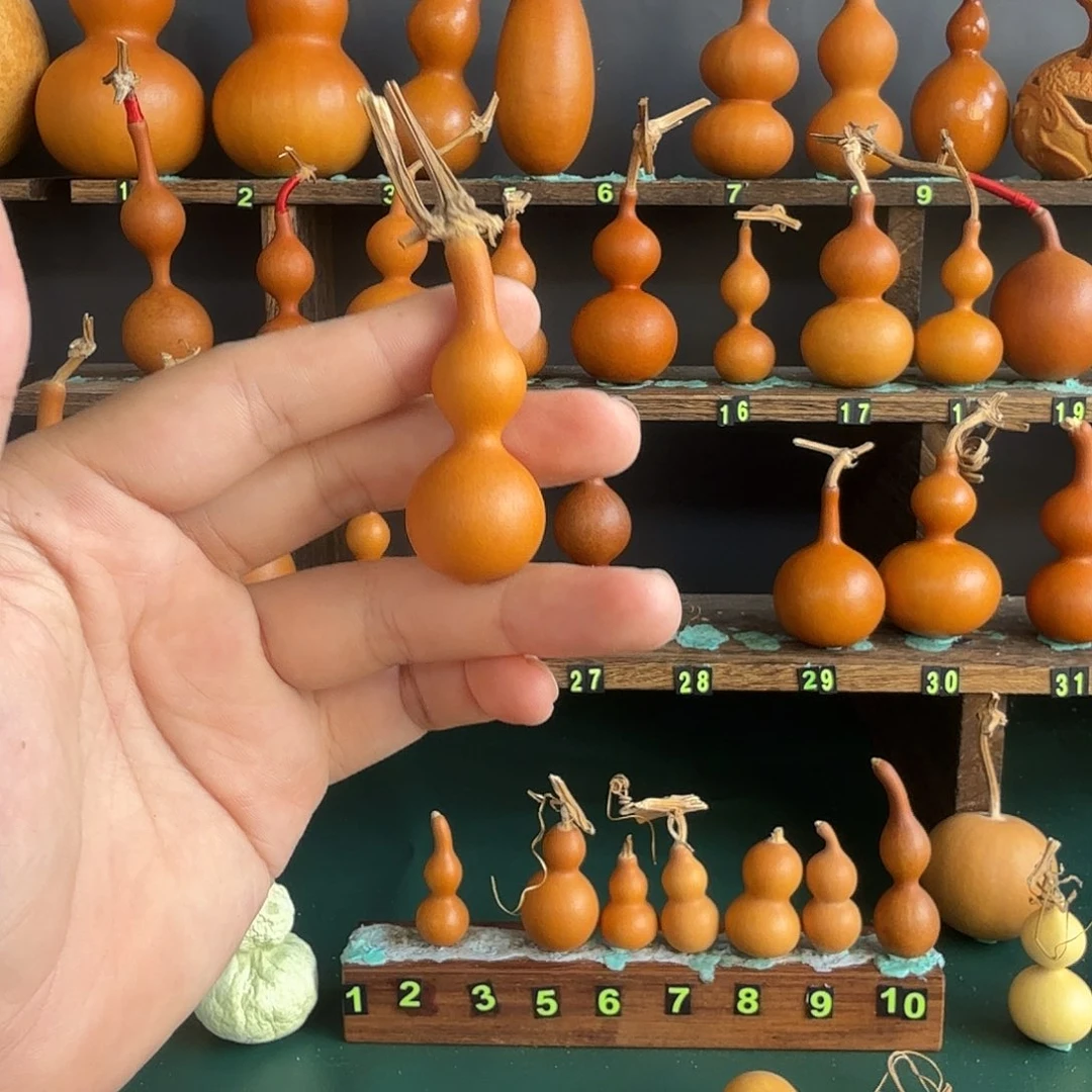 大****葫芦葫芦葫芦葫芦葫芦