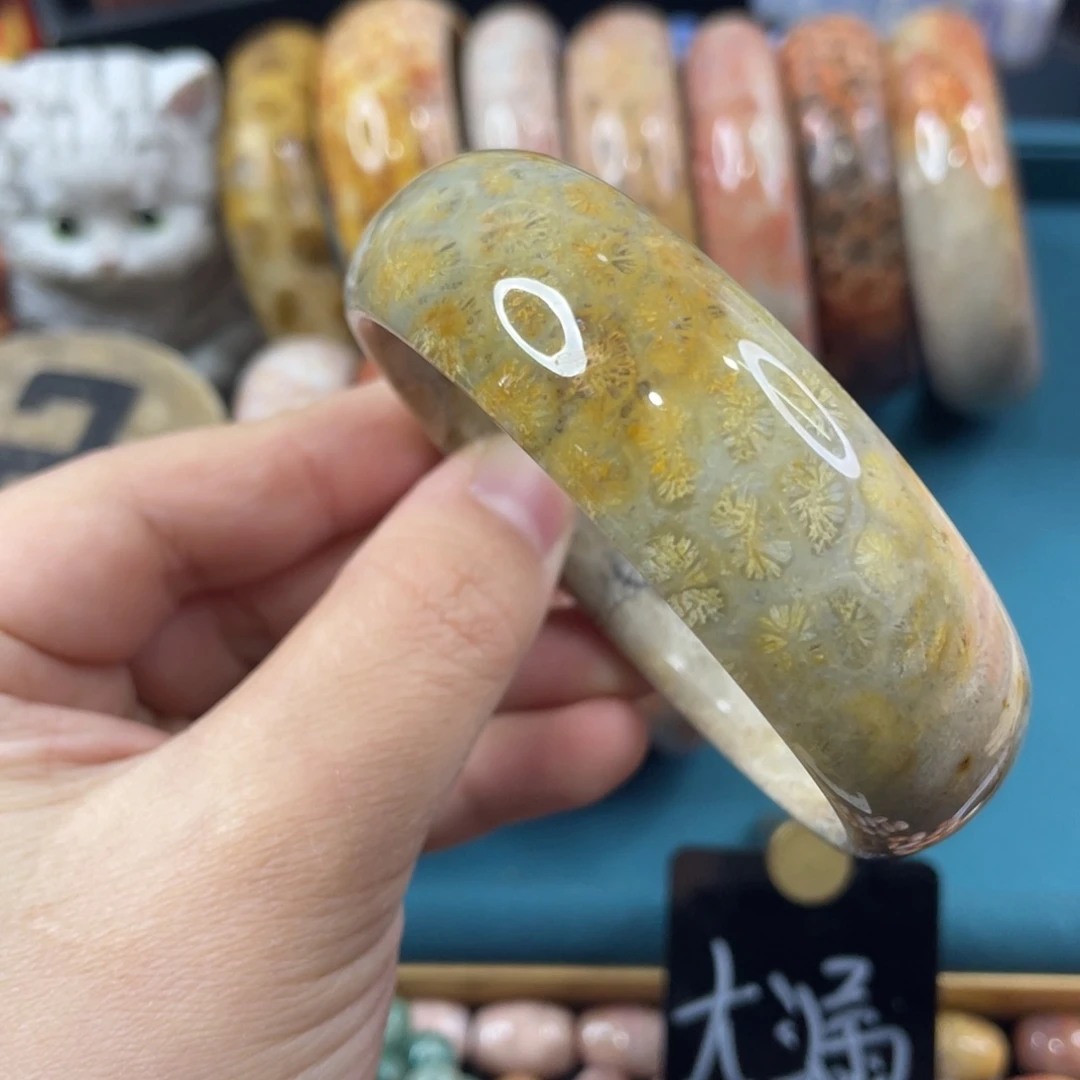 未镶嵌手镯硅化玉