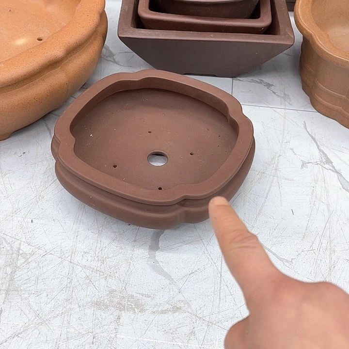 紫砂花盆这个世界上没有