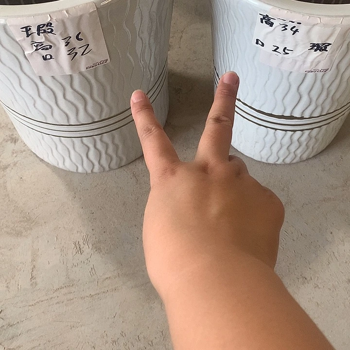 缸高温烧制默认瑕疵