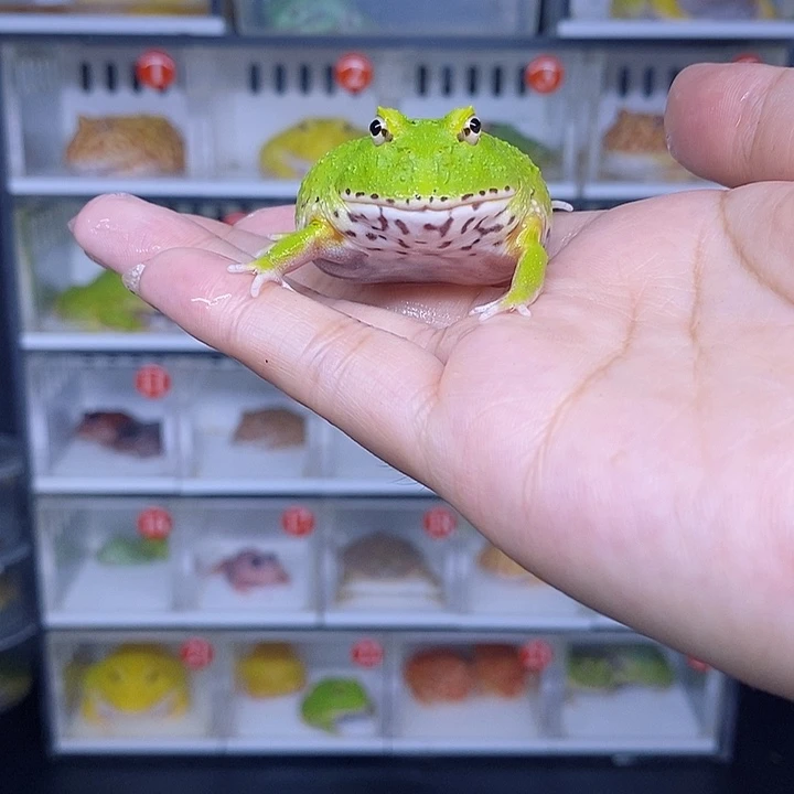 特价秒杀现货特价