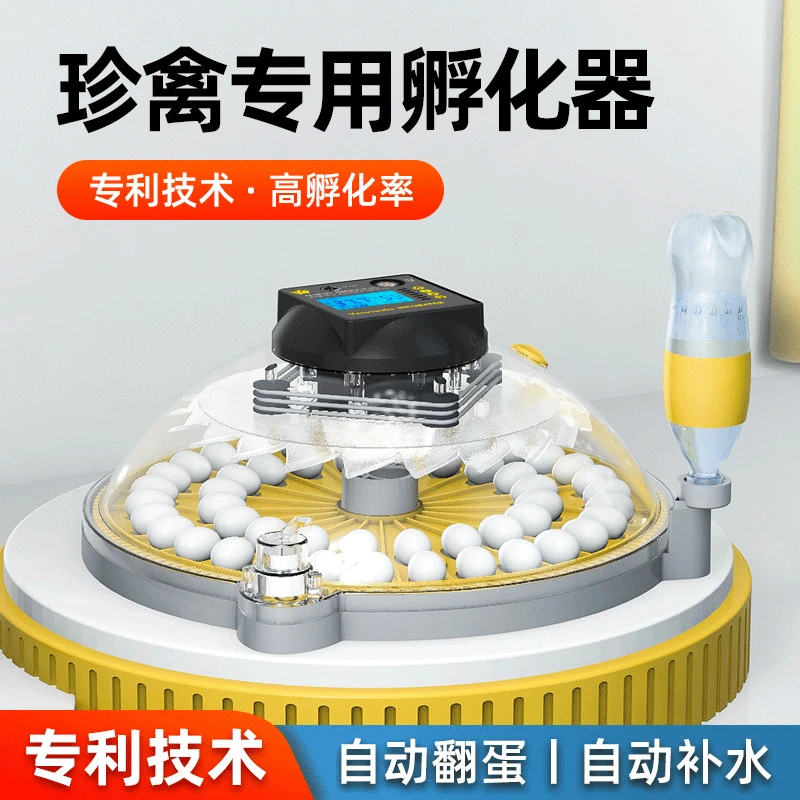 小型家用孵化器全自动孵蛋器智能养殖孵化机鸡蛋孵化箱丷