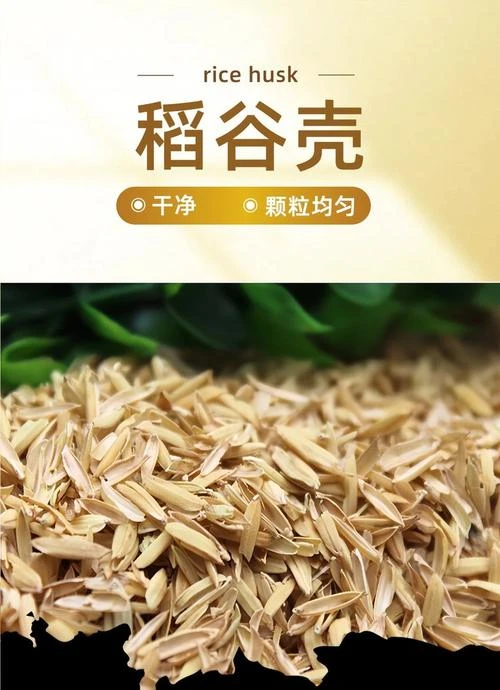 新鲜稻壳谷壳可做花草营养土宠物窝垫料辅料包邮6斤（3000克）