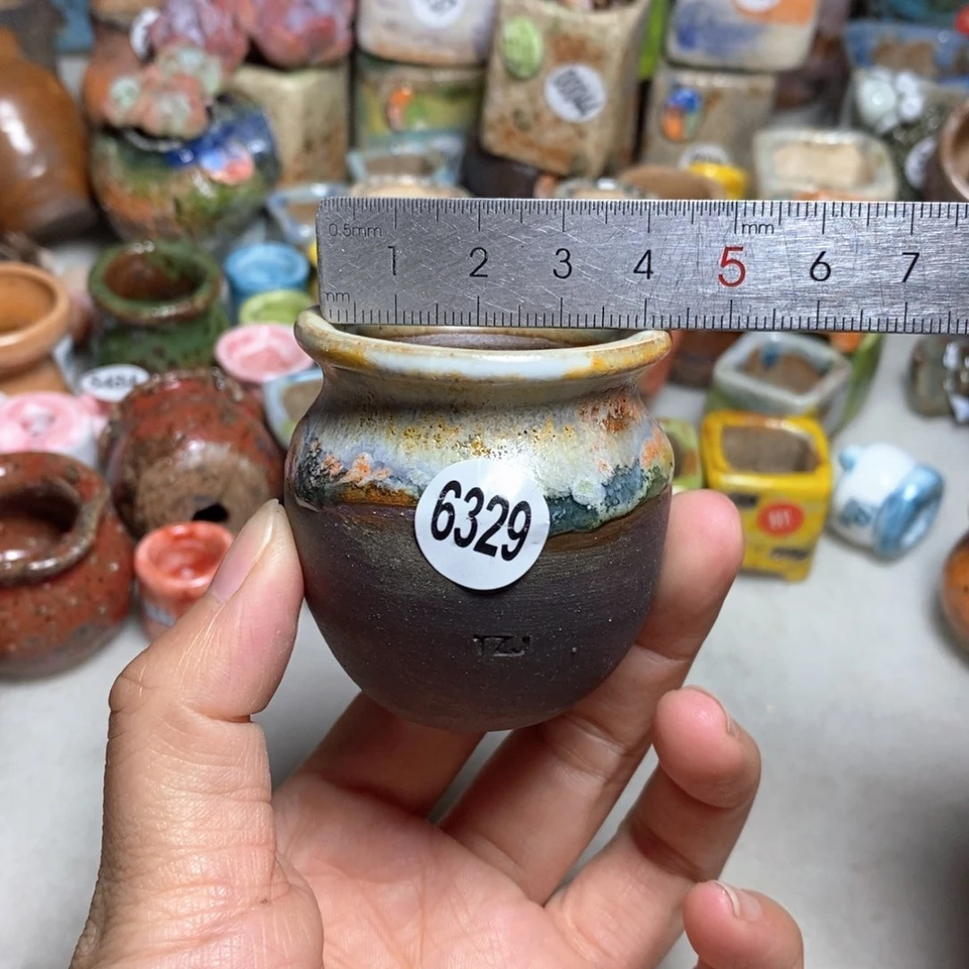 拍5送一个小礼物