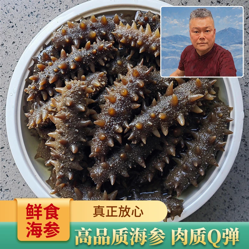 【孙春生】鲜食海参8-12头独立真空包装品质保证 顺丰包邮
