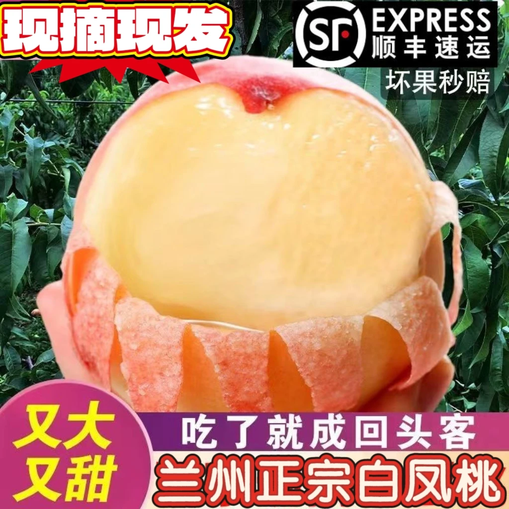 【甘肃省内】兰州白凤桃子软糯清甜多汁新鲜应季水果鲜甜多汁