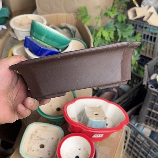 这就是为什么不可以说呢啊这