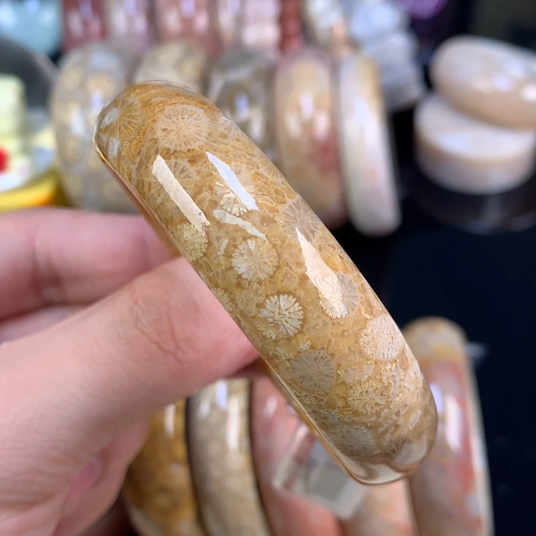 【闪购商品】颈饰未镶嵌硅化珊瑚（珊瑚玉）69号56.4圈金黄底皮花