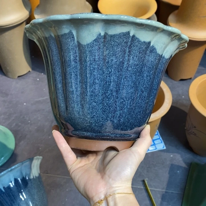 紫砂花盆雅*福利来啦