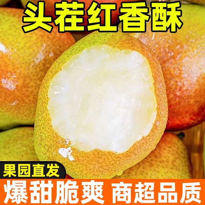 【到手3斤】正宗香梨酥脆爽口爆甜应季梨子整箱批发