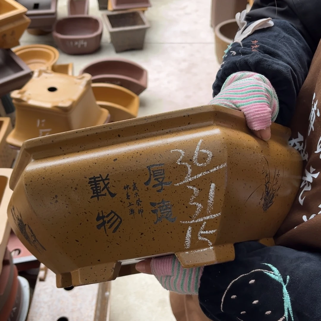 紫砂花盆盆景艺术