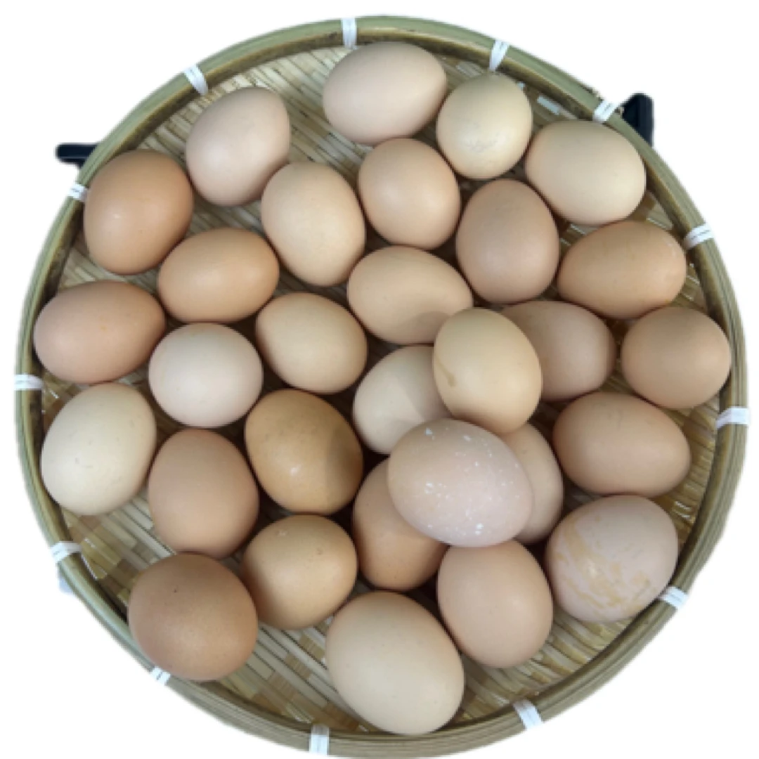 赠送10枚正宗农家散养虫草蛋鸡蛋