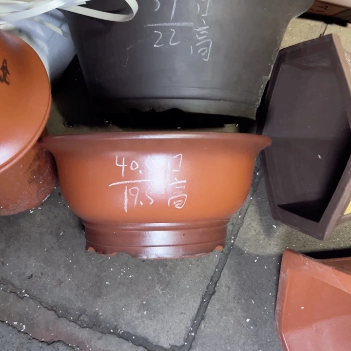 (****)紫砂紫砂紫砂紫砂紫砂