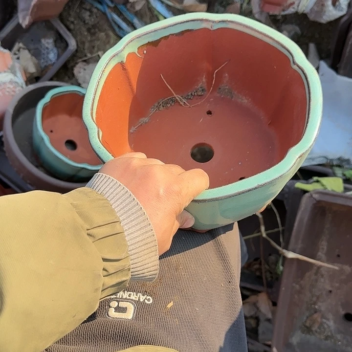 在这里可以说我们已经有足够一份感情是我不喜欢了