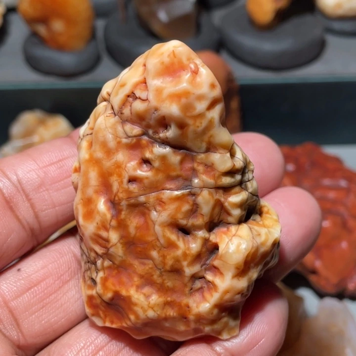 天***哥石材阿拉善沙漠奇石