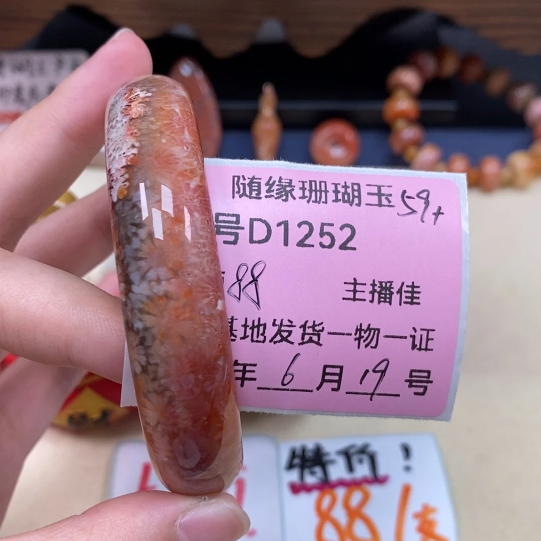 硅化珊瑚（珊瑚玉）D1252未镶嵌ℳ****