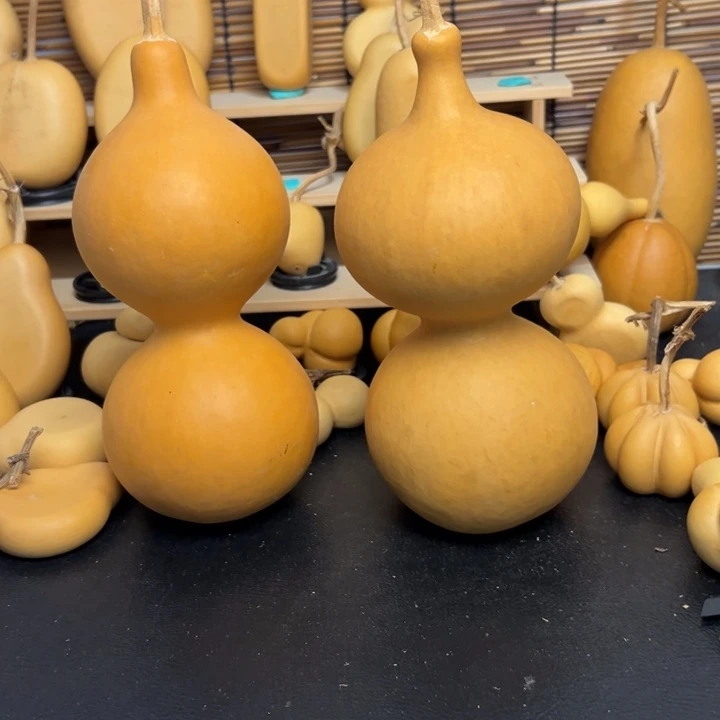小*友258898555855555899