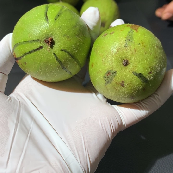 文玩核桃吊坠青皮特殊定制商品不退不换