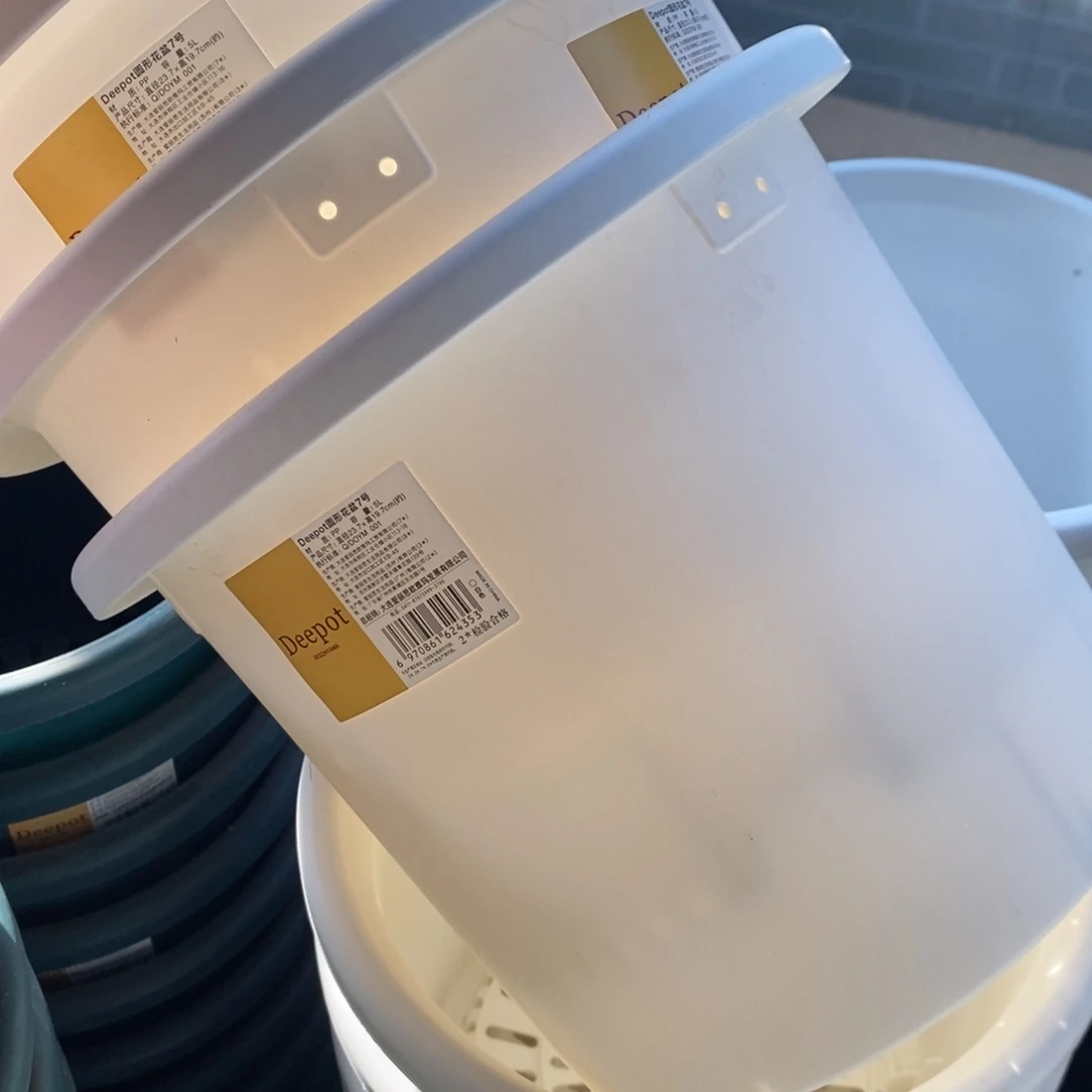 树脂10个23.7口白色爱丽丝无托