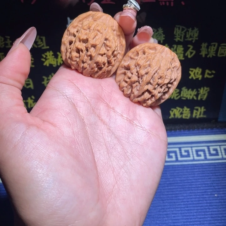 36天地109 111111