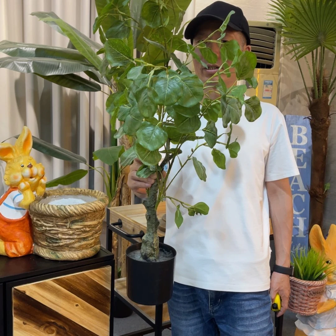 红陶红陶红陶红陶